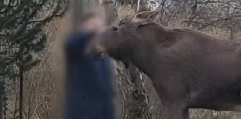 Nie prowokujcie tragedii: apel Kampinoskiego Parku Narodowego