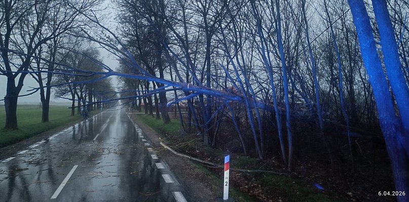 Pożary i powalone drzewa: wielkanocne interwencje naszych strażaków