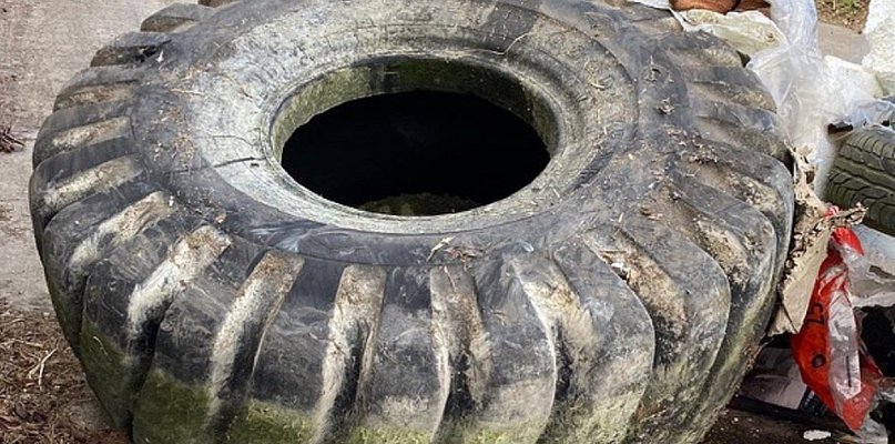 Znaleźli wędkarze, odebrał Partner, a ratusz apeluje