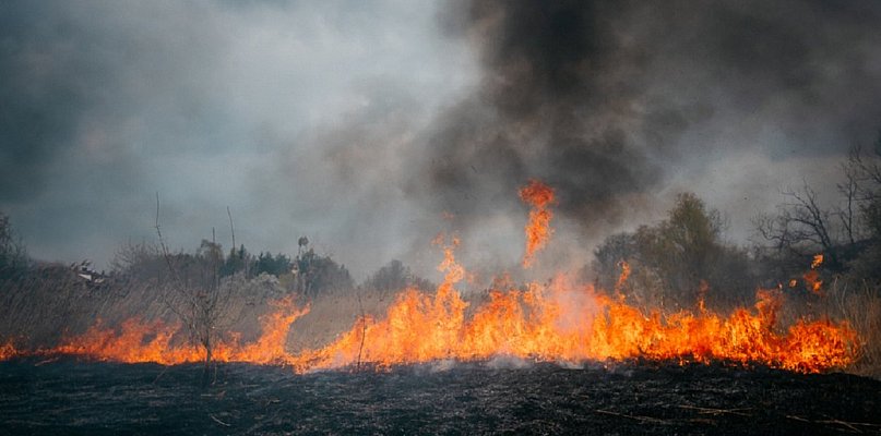 Strażacy o pożarze za szkołą. Ludzka nieodpowiedzialność i jej ofiary