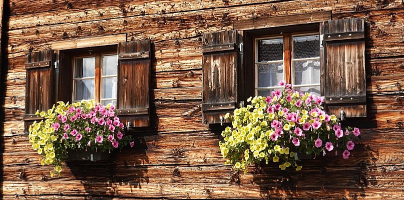 Wokół drewna. Pierwszy taki konkurs Mazowsza