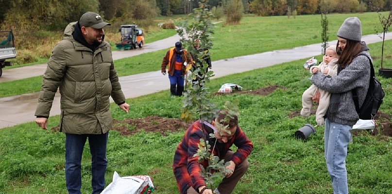 RośnieMY razem Sochaczew: będą nowe drzewa, wśród nich tulipanowce