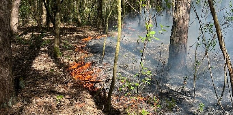 Podejrzana seria pożarów w bliskiej odległości w Sochaczewie