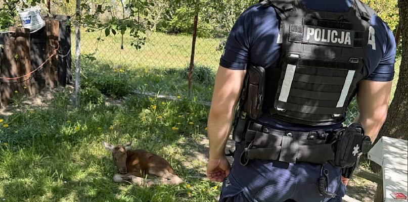 Niecodzienna sytuacja w gminie Sochaczew, pomogli policjanci