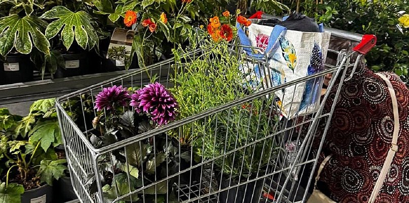 Trzydniowy kiermasz kwiatów i roślin w ramach wspólnego świętowania
