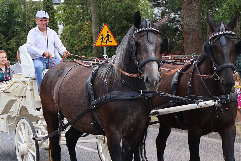 Dożynki gminy Teresin