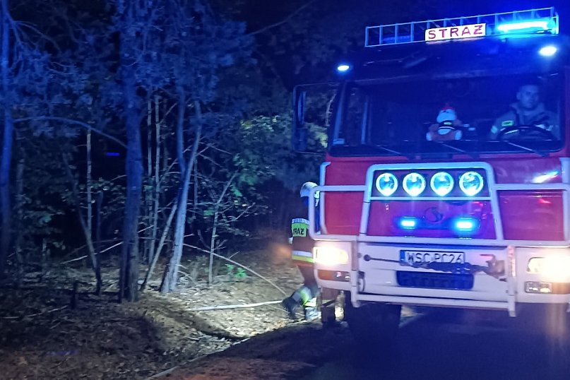 Pożar lasu w Plecewicach