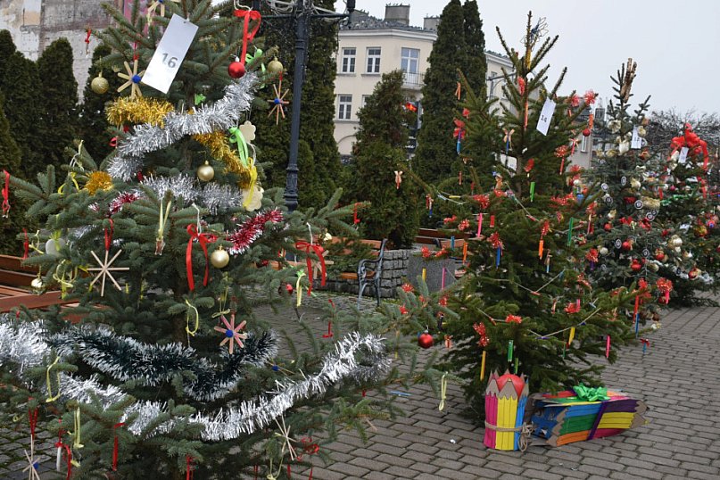 Choinki pod Choinkę 2025: tak wygląda Plac Kościuszki