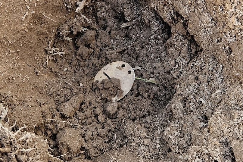 Poruszające znalezisko SGOH