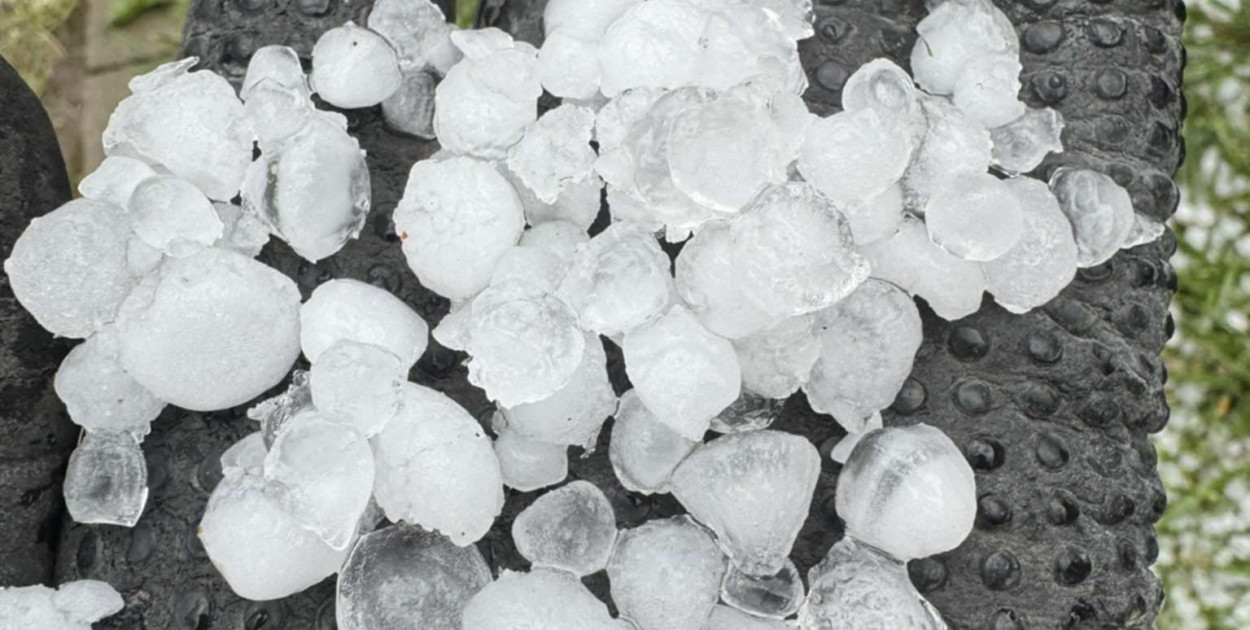 Przemysław Wasilewski 