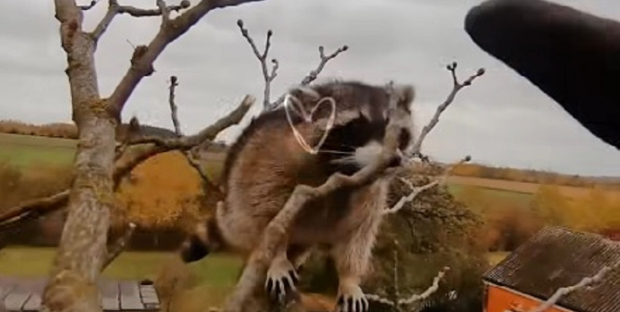 Screen z rolki KP PSP Sochaczew