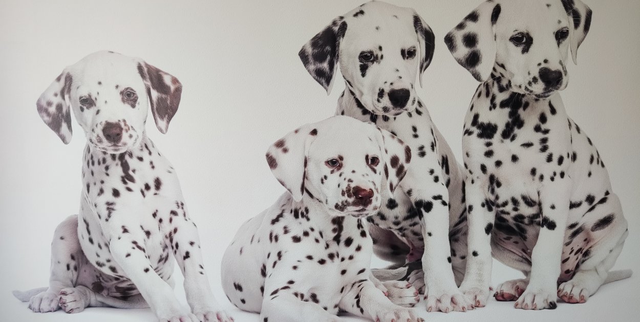 Źródło zdjęć: własne