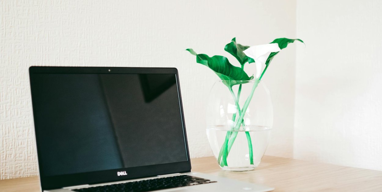 pexels.com Licencja: https://www.pexels.com/photo-license/