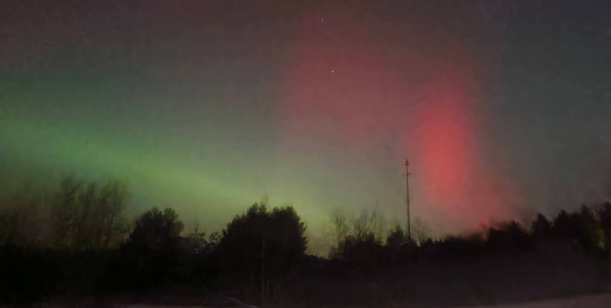 Joanna Pachowska/KPN