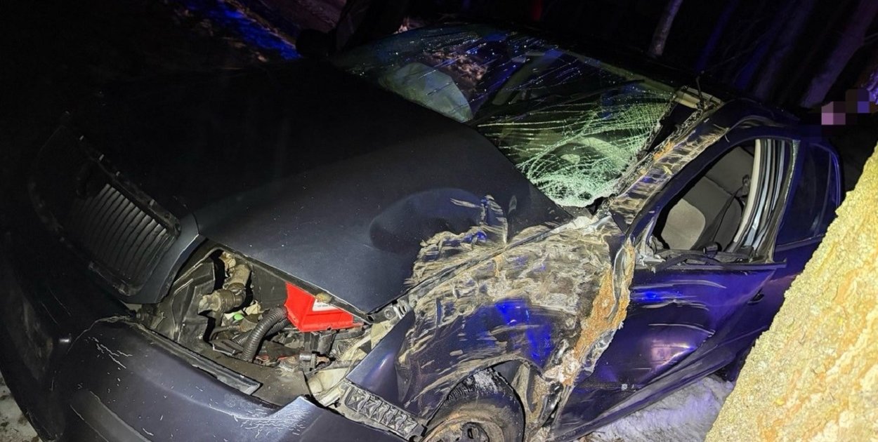 Nietrzeźwa 18-latka kontra drzewo. Prawo jazdy miała od pół roku