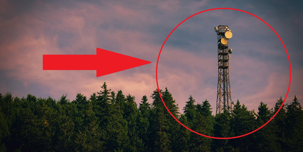 Nadleśnictwo Radziwiłłów: z tej wieży widać wszystko, są efekty