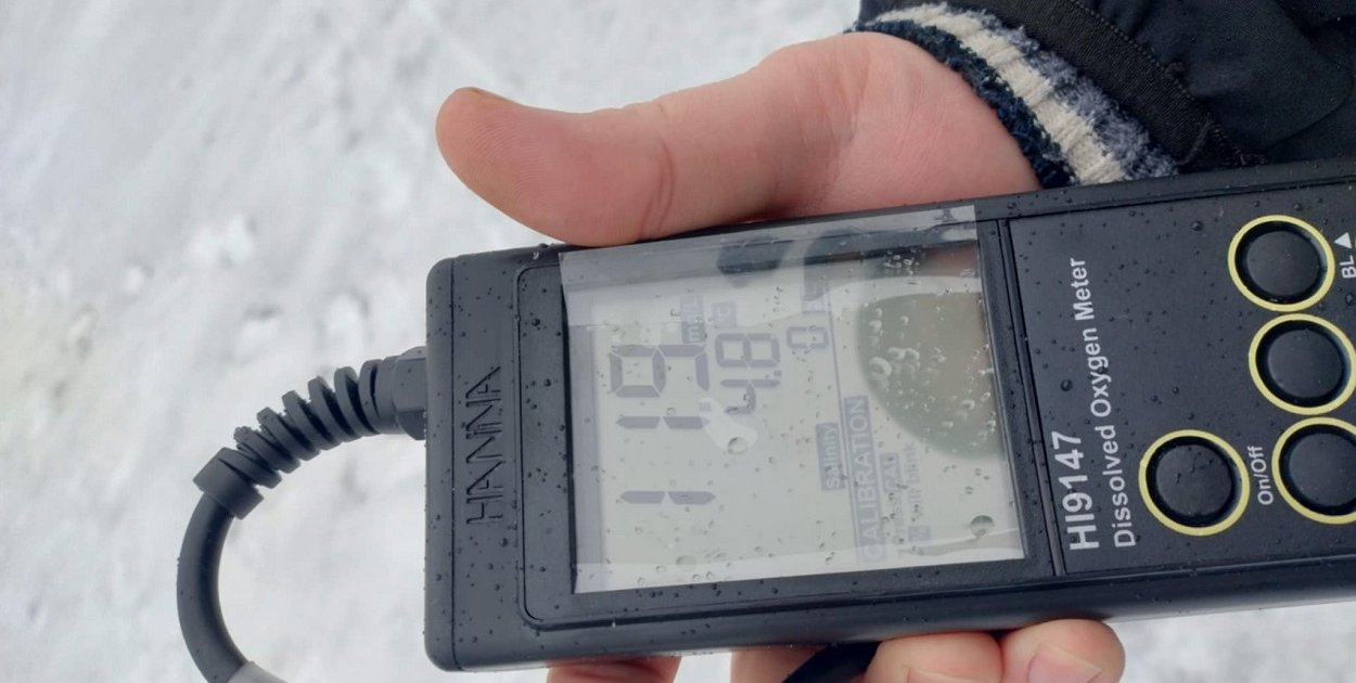 Zalew w Boryszewie: jest dobrze, PZW dziękuje w imieniu własnym i ryb