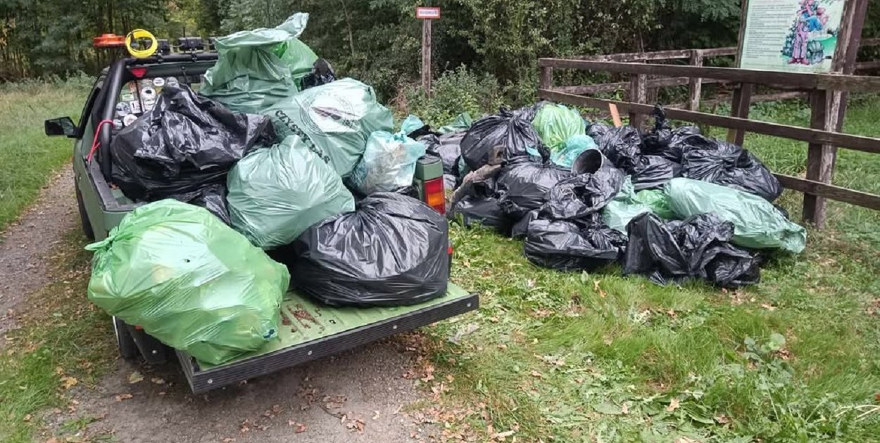 Czas na porządki w teresińskim lesie, w planie ogniskowa kiełbaska