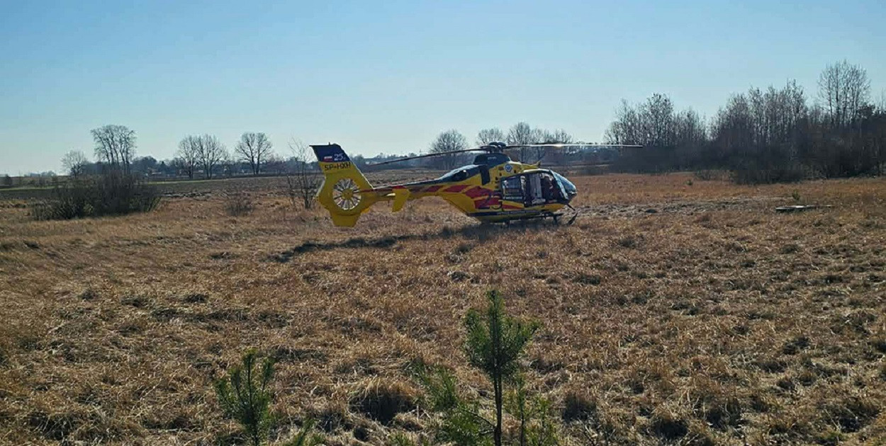 Wypadek przy wycince, pożary i zdarzenie drogowe: trudny dzień dla straży