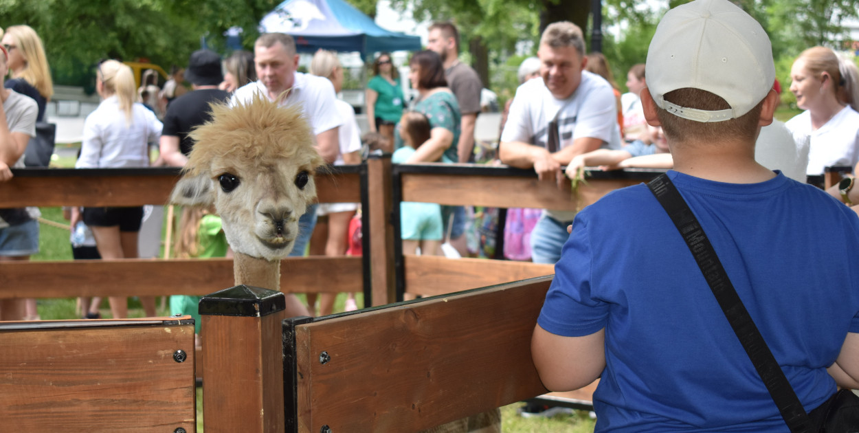 Kalendarz wiosenno-letnich imprez ratusza