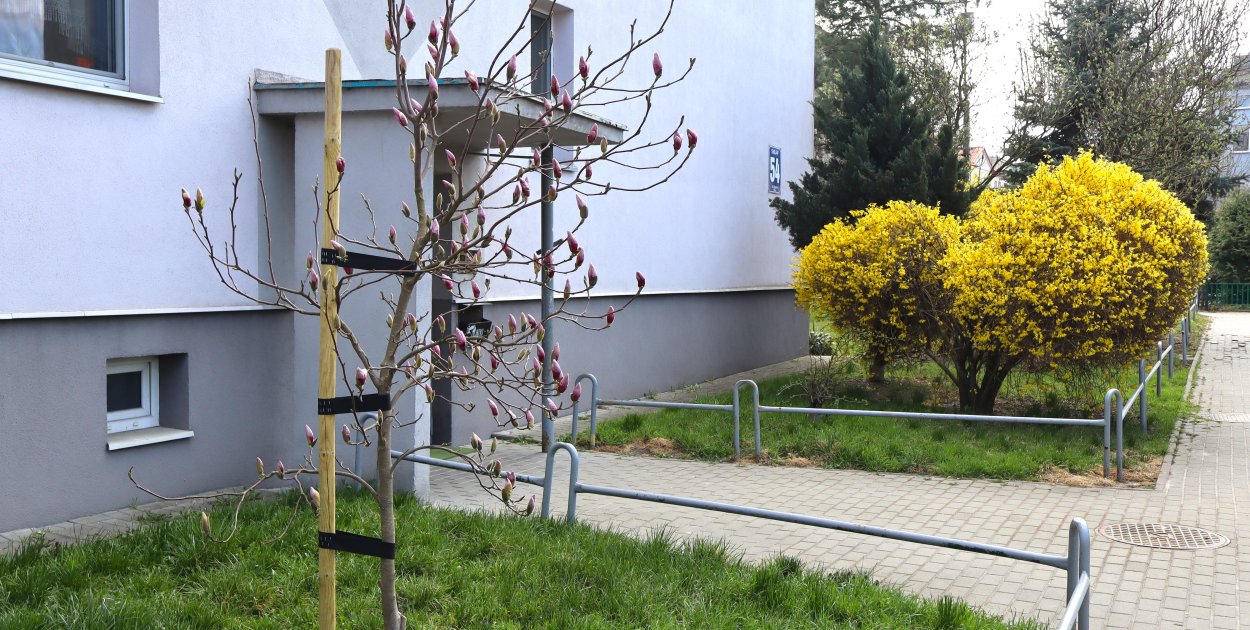 Wiosna w Socho zgodnie z planem, prognozy na święta znakomite