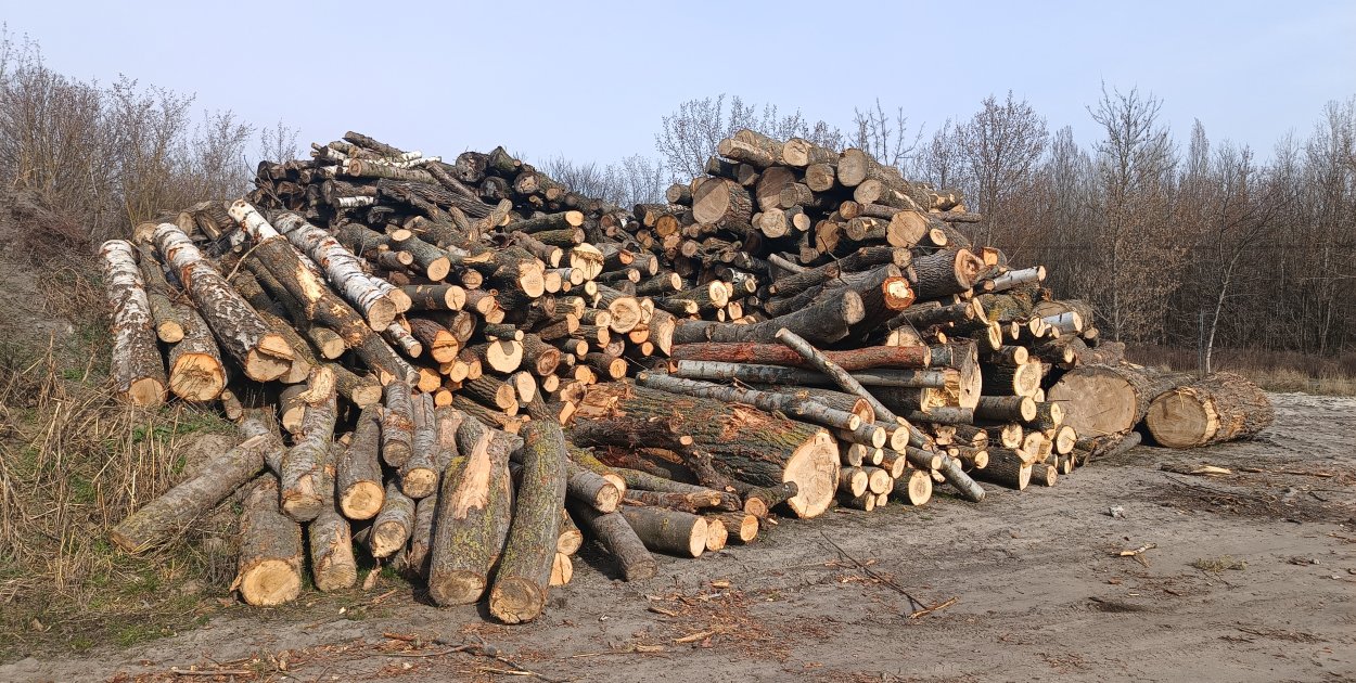 Program Port Polska przekazuje drewno powiatowi sochaczewskiemu