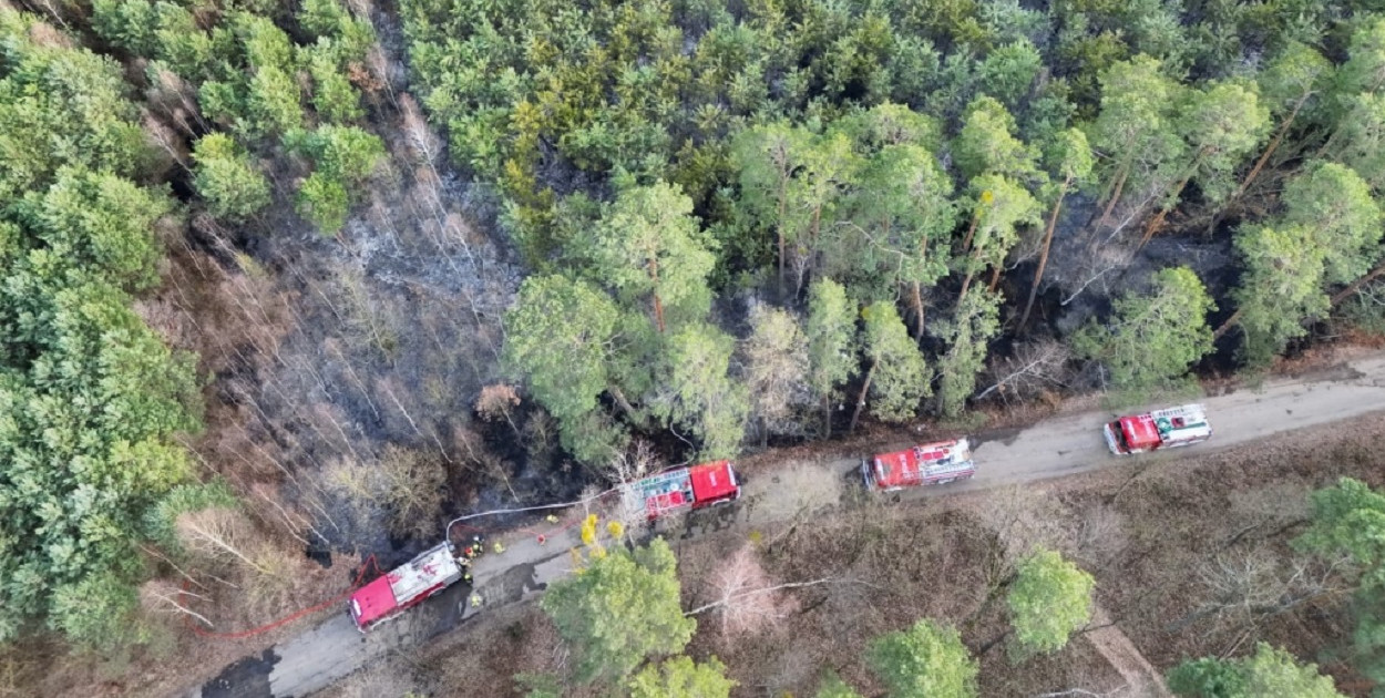 KP PSP Sochaczew: sześć pożarów w jeden dzień, ogień strawił 1,5 ha lasu [FOTO]