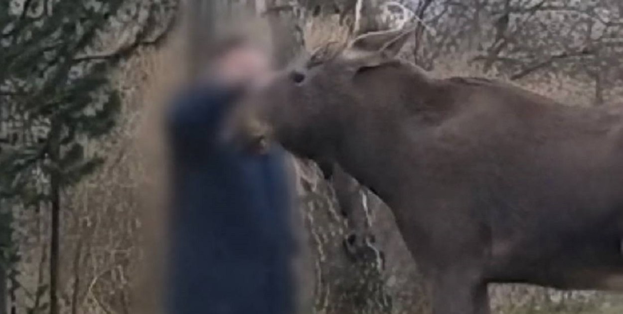 Nie prowokujcie tragedii: apel Kampinoskiego Parku Narodowego