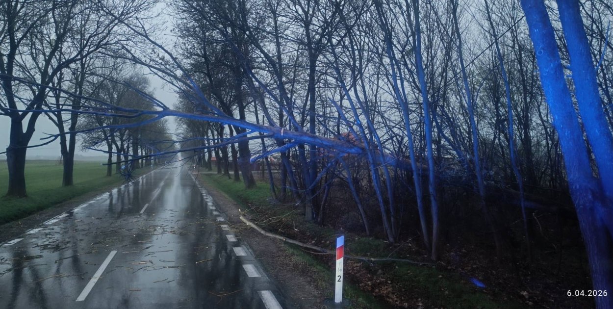 Pożary i powalone drzewa: wielkanocne interwencje naszych strażaków
