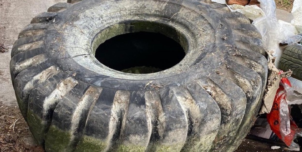 Znaleźli wędkarze, odebrał Partner, a ratusz apeluje