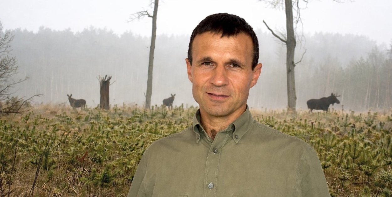 Inwentaryzacja zwierzyny w naszych lasach z jednym wnioskiem