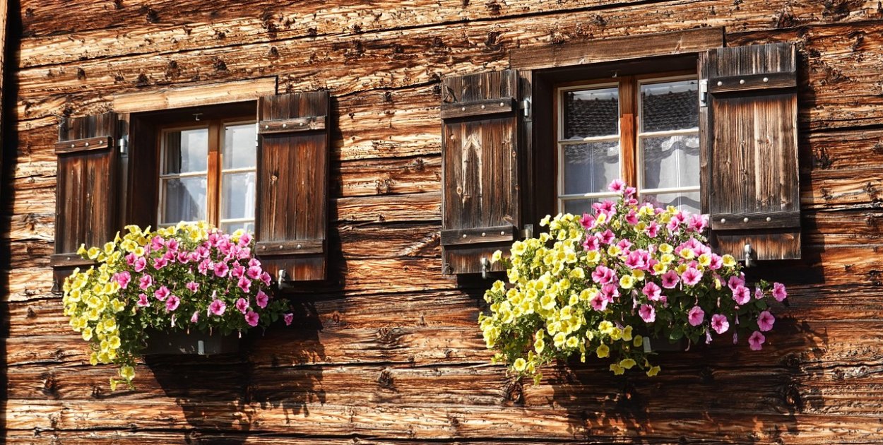 Wokół drewna. Pierwszy taki konkurs Mazowsza