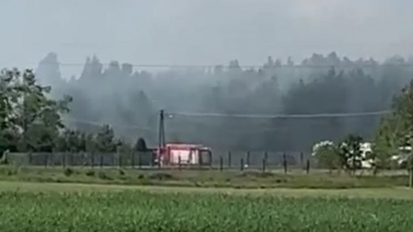 Pożar traw w Żukowie